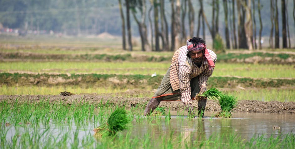 iran India — India's Economy on Edge: Iran War Threatens Jobs and Remittances (featured)