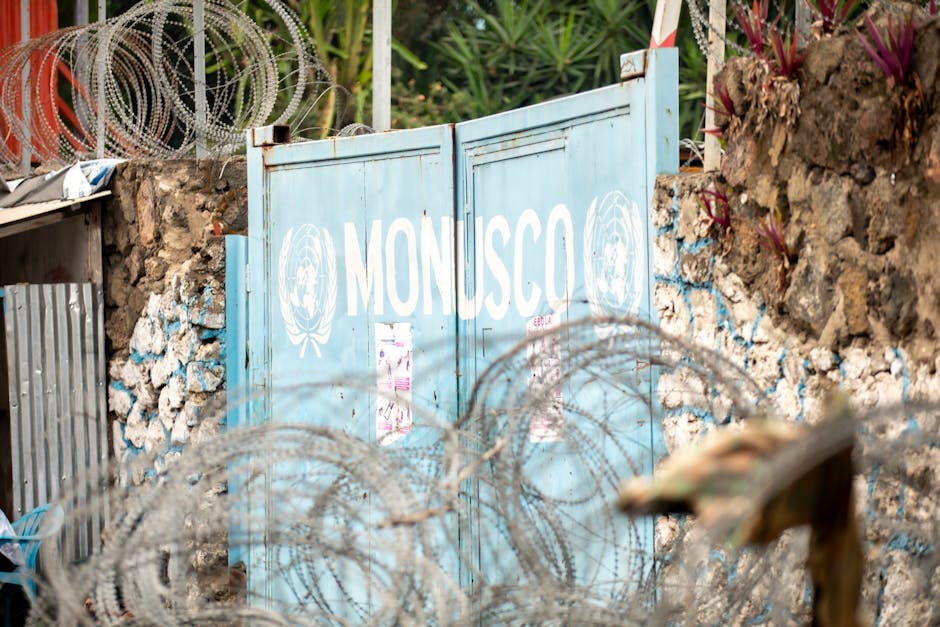 ebola — Ebola Crisis Forces Postponement of Africa-India Summit: Diplomatic Fa (featured)