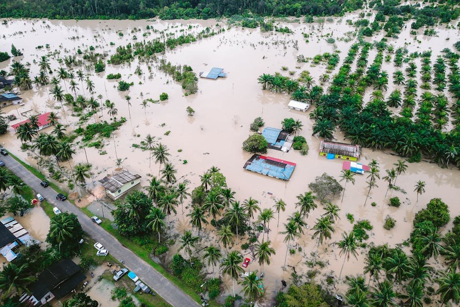 rain — East Asia's Rain Crisis: A Wake-Up Call for Climate Action (featured)