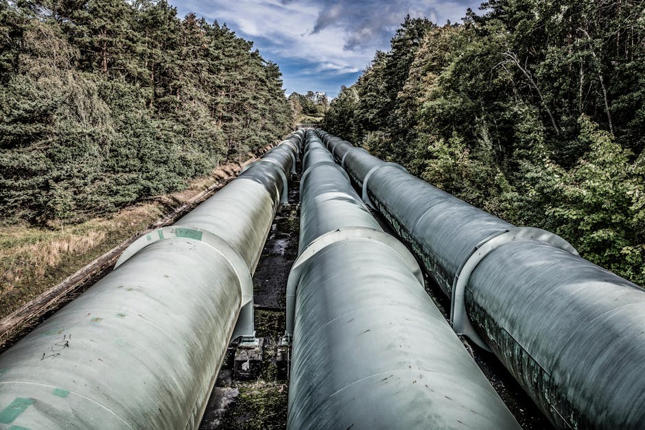 Putin Unity — Putin's China Visit: Unity or Illusion? The Pipeline Deal Eludes Again (featured)