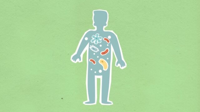 Gut Bacteria — Gut Bacteria: The Hidden Culprit Behind Colorectal Cancer? (featured)