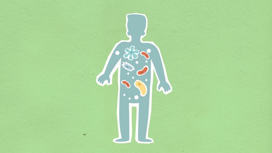 Gut Bacteria — Gut Bacteria: The Hidden Culprit Behind Colorectal Cancer? (featured)
