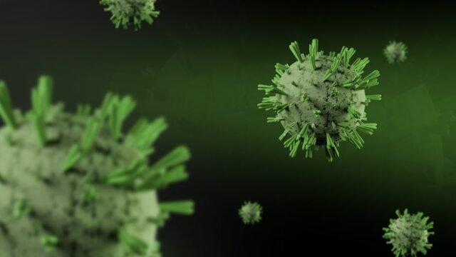 Are We ignoring — Are We Ignoring the Hantavirus Threat? Wake-Up Call for Public Health! (featured)