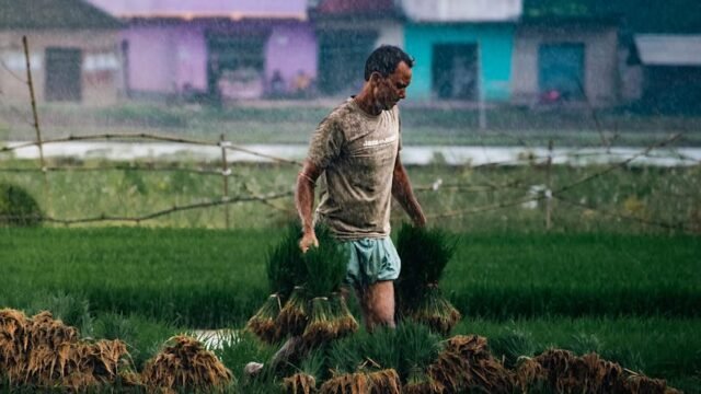 Monsoon — India's Monsoon Forecast: Drought Looms Over South Asia's Future (featured)