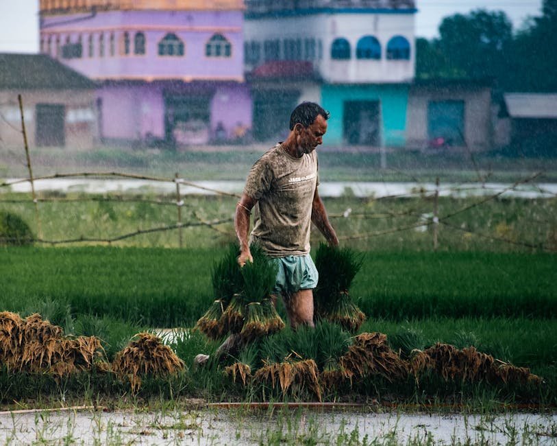 Monsoon — India's Monsoon Forecast: Drought Looms Over South Asia's Future (featured)