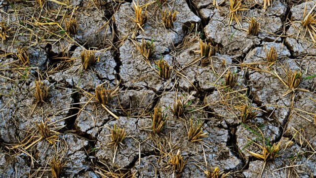 Monsoon — Indian Monsoon Crisis: A Wake-Up Call for South Asia (featured)