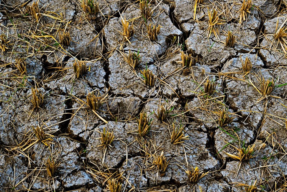 Monsoon — Indian Monsoon Crisis: A Wake-Up Call for South Asia (featured)