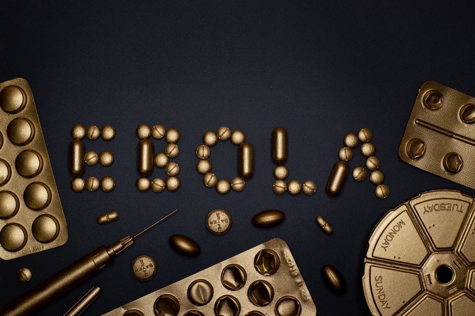 Africa summit Ebola outbreak diplomacy health