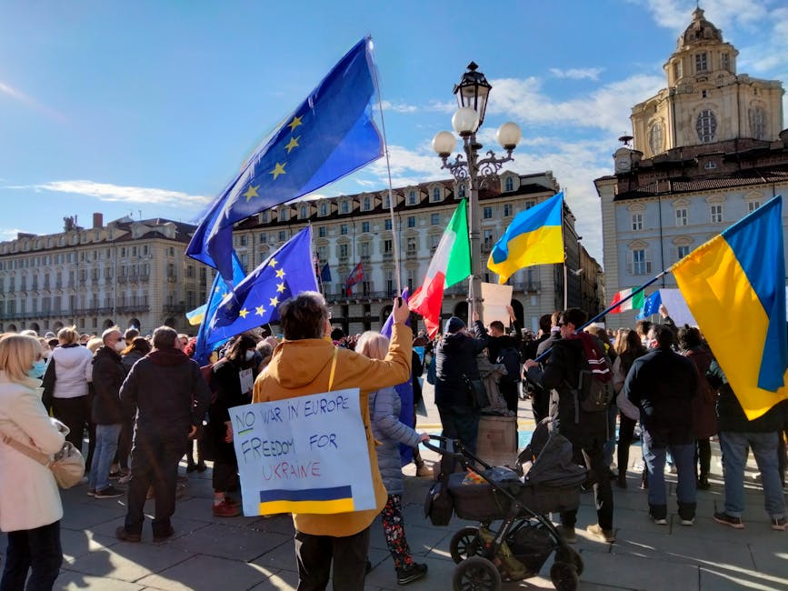 Germany — Germany's Half-Hearted EU Proposal for Ukraine: A Gilded Cage? (photo)