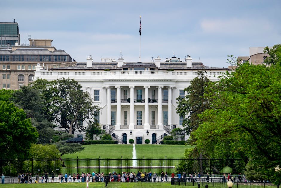 artificial intelligence Chaos — Chaos in White House: Trump's AI Strategy Sparks Division (photo)