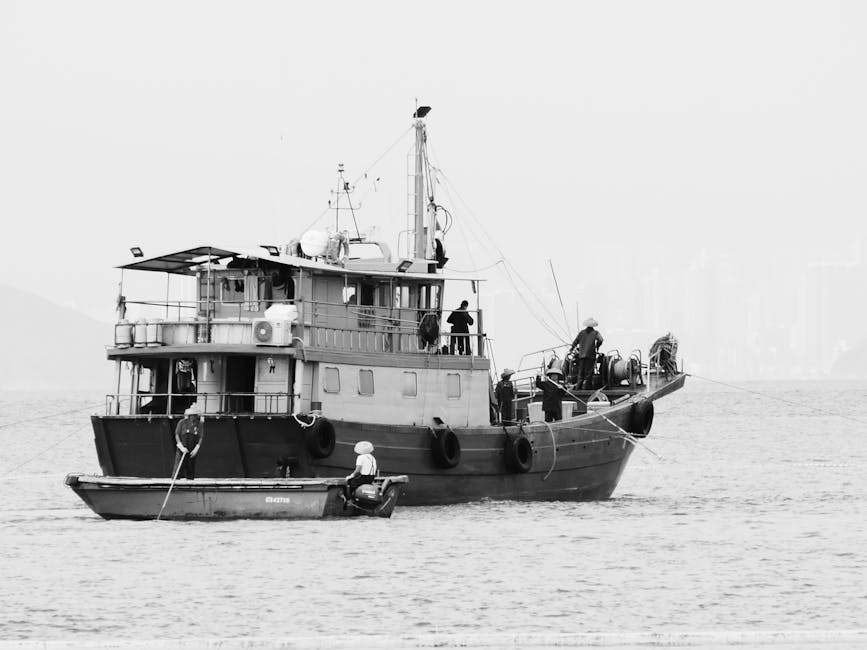 East Asia — Brave Escape: A Dissident's Desperate Bid for Freedom in East Asia (photo)
