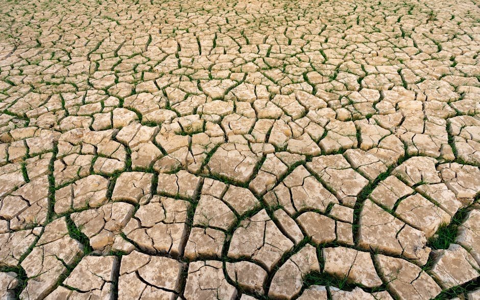 climate change — Modi's Heat Warning: Time for Action on Climate Crisis in South Asia? (photo)