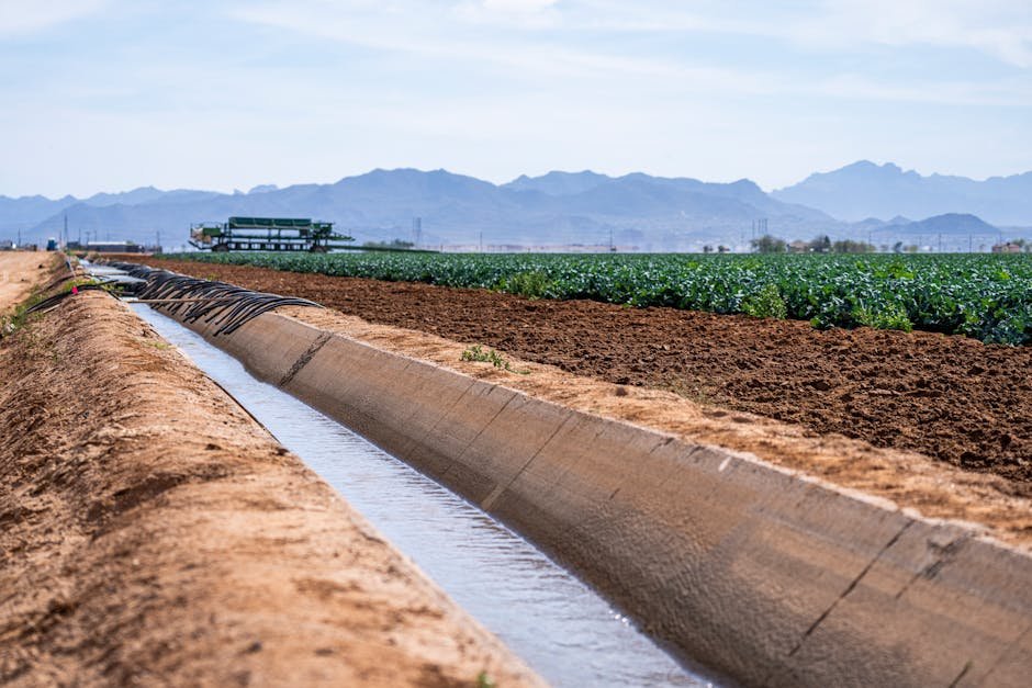technology — Tech vs. Drought: AI Emerges as Our Best Ally in Water Crisis (inline 1)