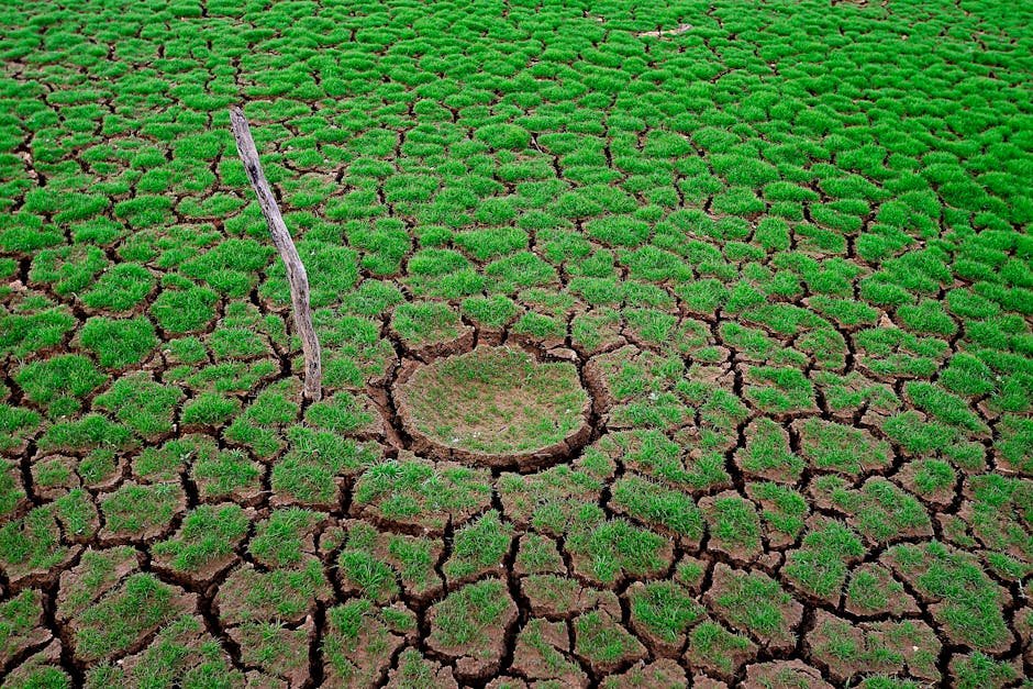 Monsoon — Indian Monsoon Crisis: A Wake-Up Call for South Asia (inline 1)