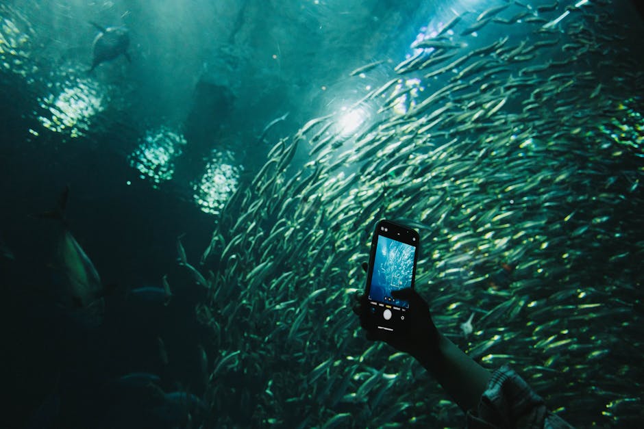 technology — Can Tech Really Save Our Oceans, or Are We Just Fooling Ourselves? (inline 1)
