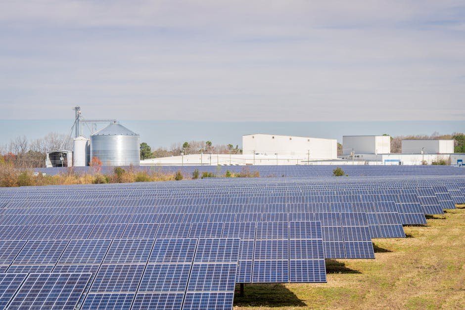 solar energy — India’s Solar Revolution: A New Era for South Asian Industry? (inline 1)