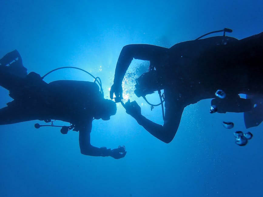 Five Divers — Five Divers' Tragic Fate Sparks Urgent Call for Safety in Adventure To (photo)
