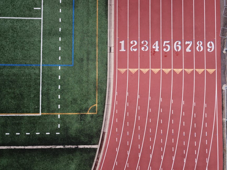 artificial intelligence Sports — Is AI a Game-Changer or a Threat to Authentic Sports Competition? (photo)