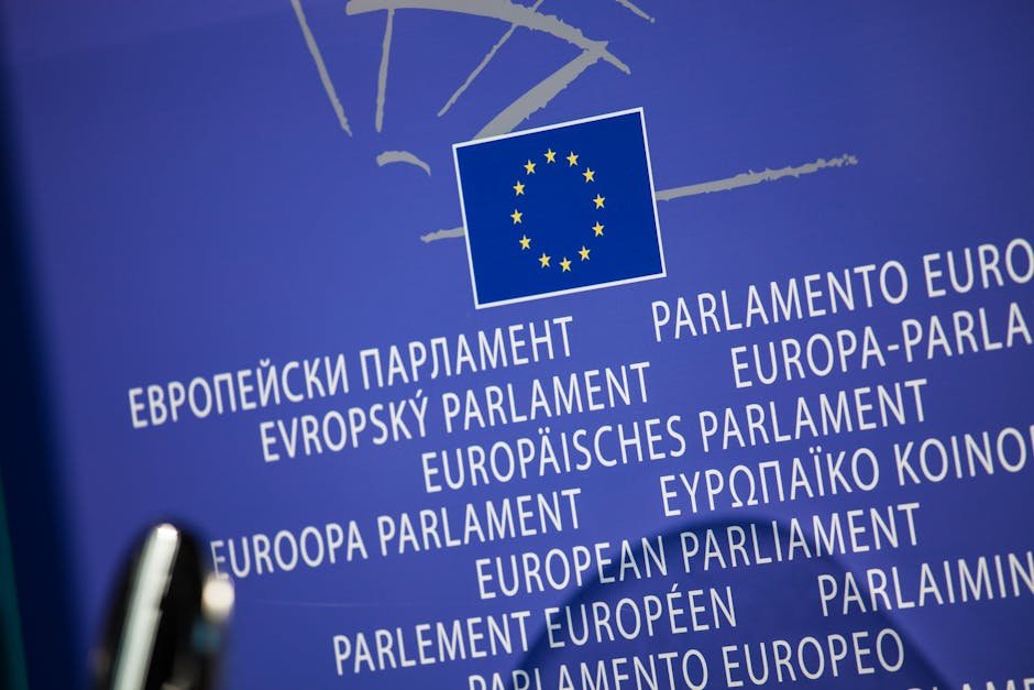 Brexit Bitter — Brexit's Bitter Reality: Is the UK Ready to Rejoin the EU? (photo)