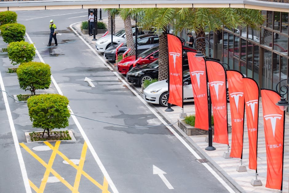 Tesla India electric vehicles regulatory hurdles