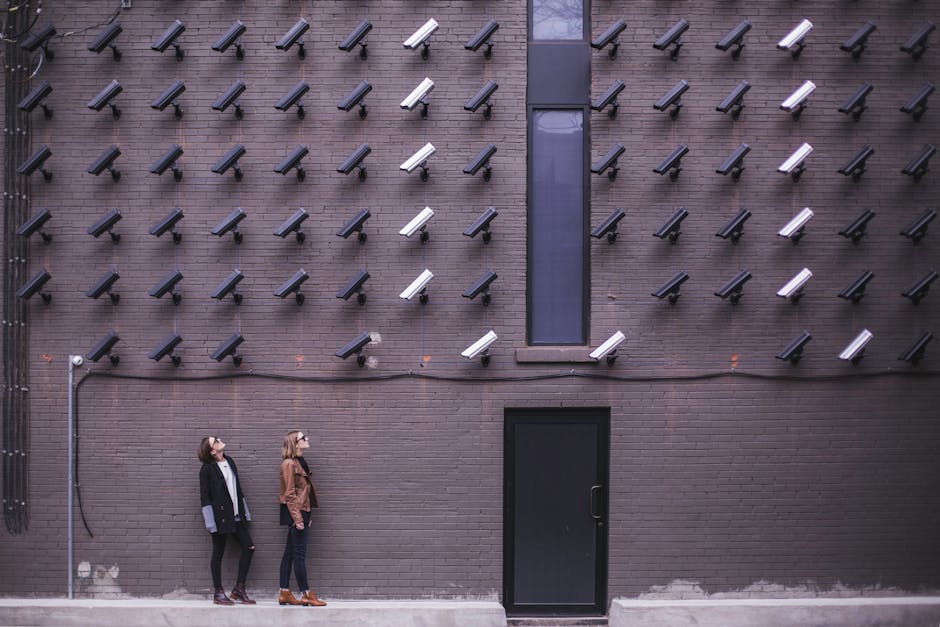 artificial intelligence Should — Should the NSA Control AI Development? A Threat to Freedom Awaits (photo)