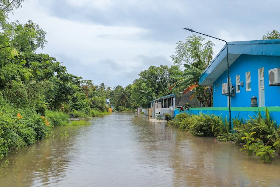 rain — East Asia's Rain Crisis: A Wake-Up Call for Climate Action (photo)
