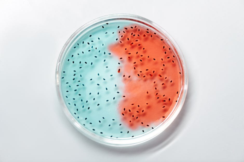 Gut Bacteria — Gut Bacteria: The Hidden Culprit Behind Colorectal Cancer? (photo)