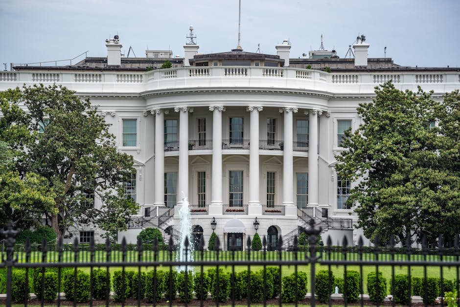 artificial intelligence Chaos — Chaos in White House: Trump's AI Strategy Sparks Division (photo)