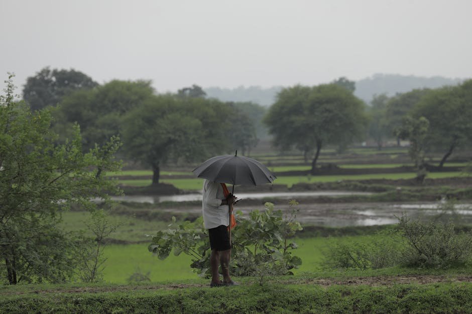Monsoon — India's Monsoon Forecast: Drought Looms Over South Asia's Future (inline 2)