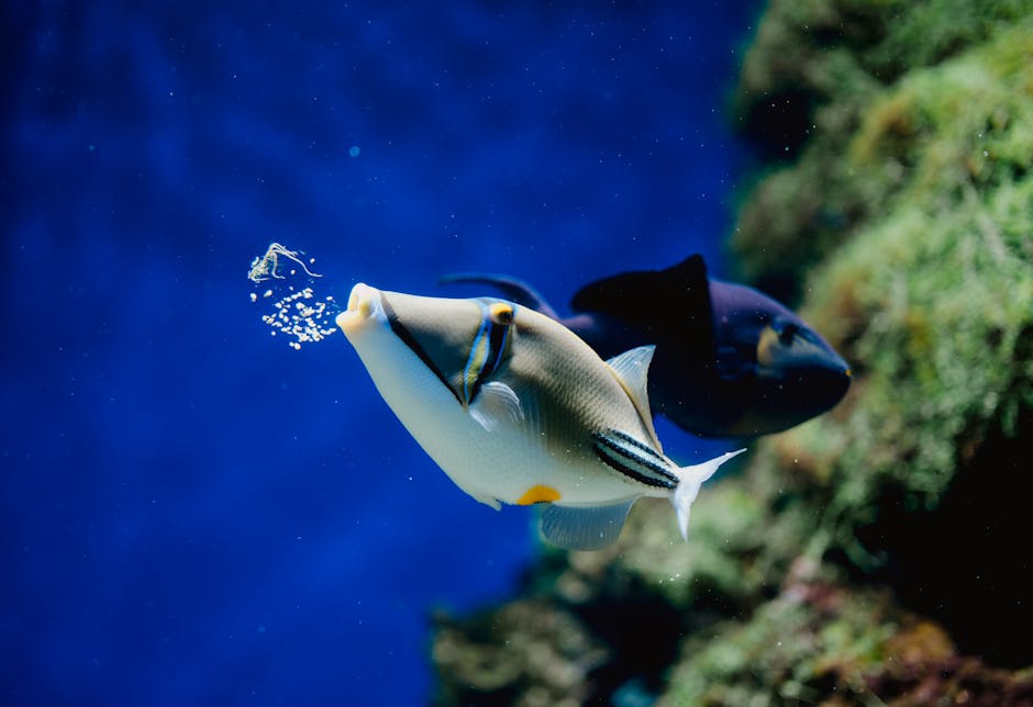 technology — Can Tech Really Save Our Oceans, or Are We Just Fooling Ourselves? (inline 2)