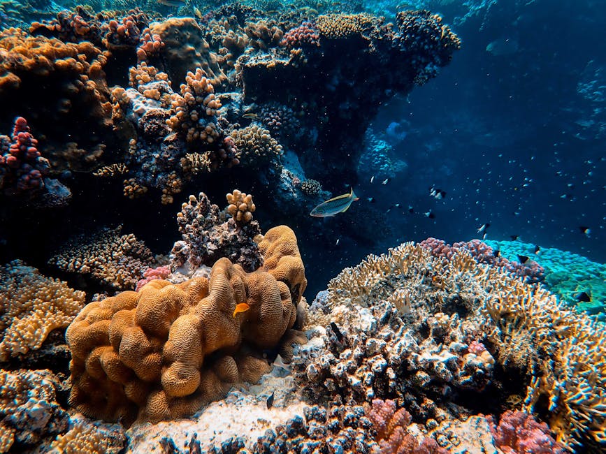 technology — AI's Role in Ocean Conservation: A Rising Tide of Change (inline 2)