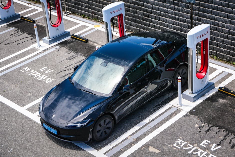Tesla India electric vehicles regulatory hurdles