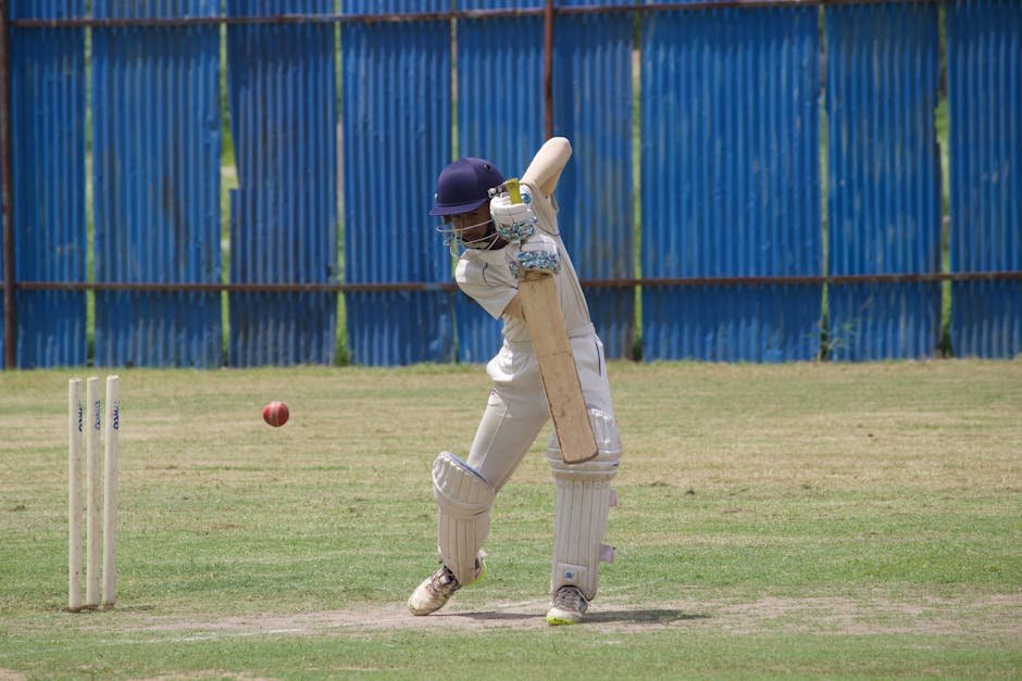 Is Baseball — Is Baseball Ready to Take Off in India or Just Another American Fad? (photo)