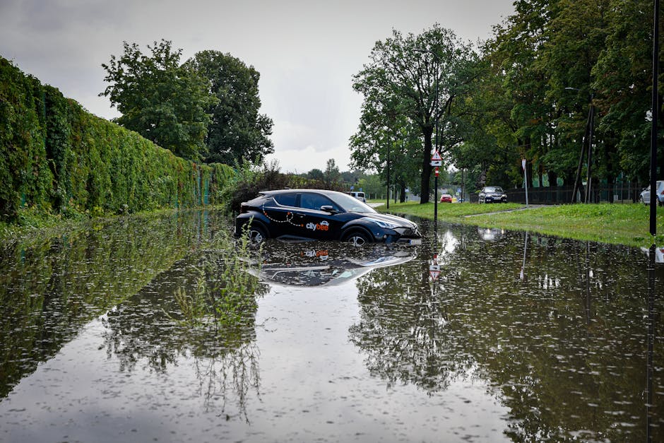 Waymo — Waymo's Robot Taxis Sink in Flood, Trust Takes a Hit (photo)