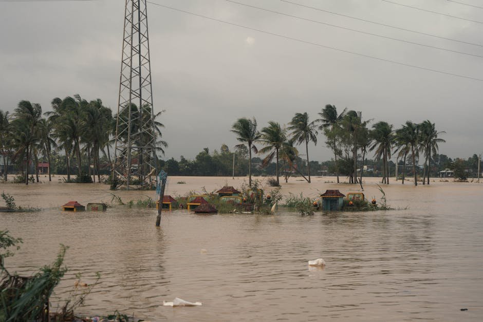 rain — East Asia's Rain Crisis: A Wake-Up Call for Climate Action (photo)