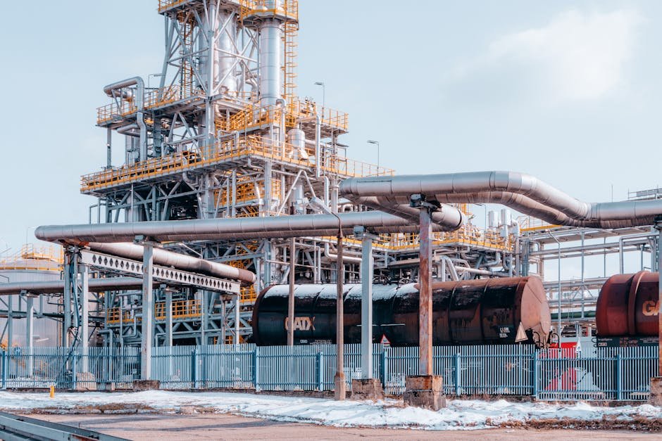 India Bold — India’s Bold Energy Pivot: A New Era for South Asia? (photo)