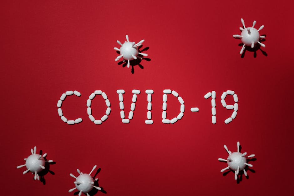 Are We ignoring — Are We Ignoring the Hantavirus Threat? Wake-Up Call for Public Health! (photo)