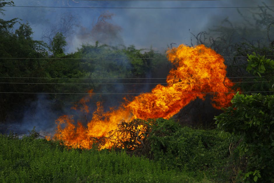climate change — Modi's Heat Warning: Time for Action on Climate Crisis in South Asia? (photo)