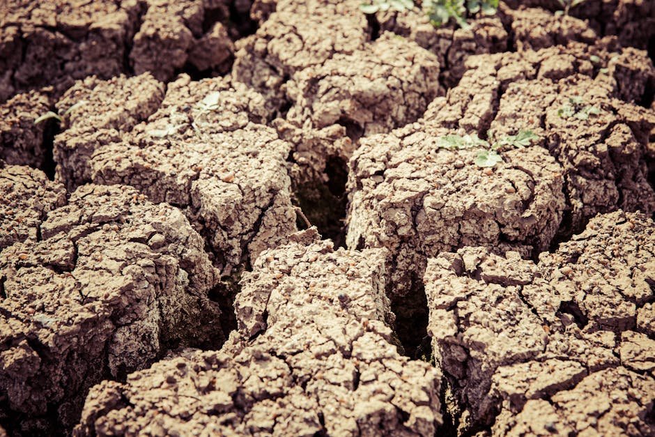 technology — Tech vs. Drought: AI Emerges as Our Best Ally in Water Crisis (inline 3)