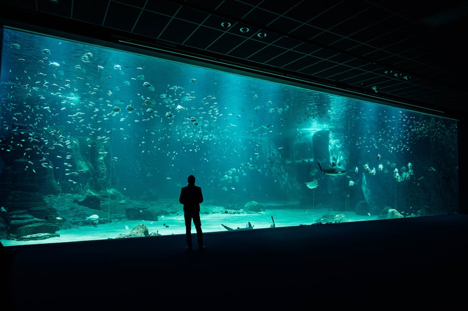 technology — Can Tech Really Save Our Oceans, or Are We Just Fooling Ourselves? (inline 3)