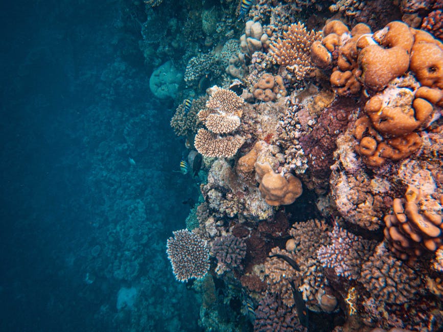 technology — AI's Role in Ocean Conservation: A Rising Tide of Change (inline 3)