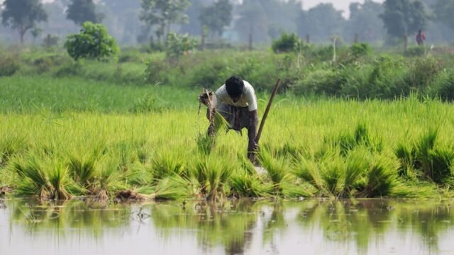 South Asia — Is South Asia Ready for India's Economic Surge? (featured)