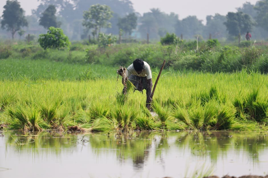 South Asia — Is South Asia Ready for India's Economic Surge? (featured)