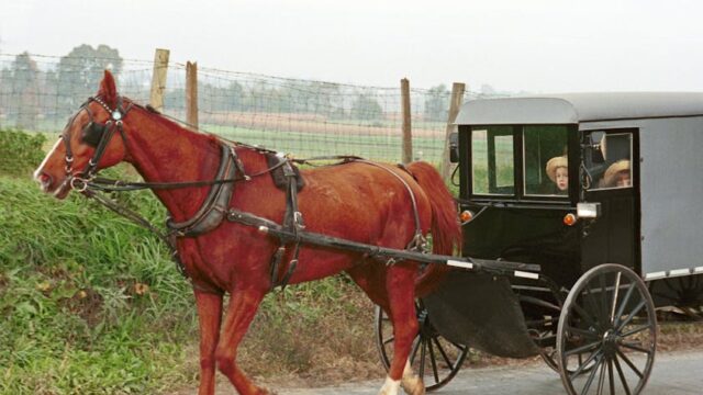 technology — Amish vs. AI: A Battle for Tradition in a Digital World (featured)