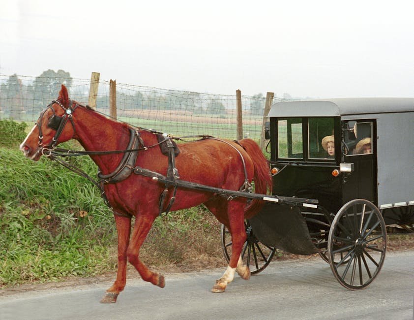 technology — Amish vs. AI: A Battle for Tradition in a Digital World (featured)