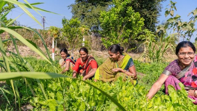 fertility rate — India's Fertility Rate Plummets: A Demographic Crisis Unfolds (featured)