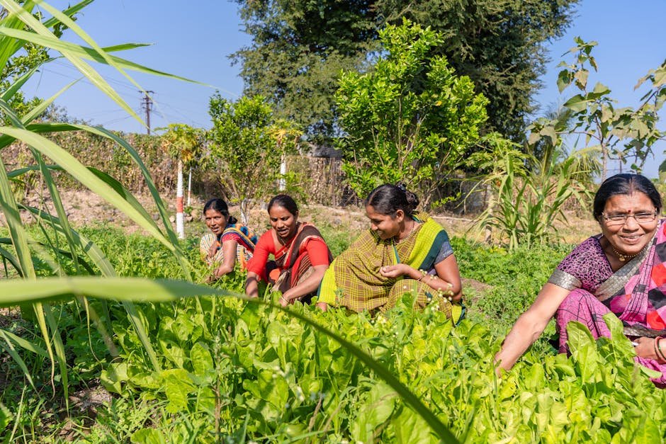 fertility rate — India's Fertility Rate Plummets: A Demographic Crisis Unfolds (featured)