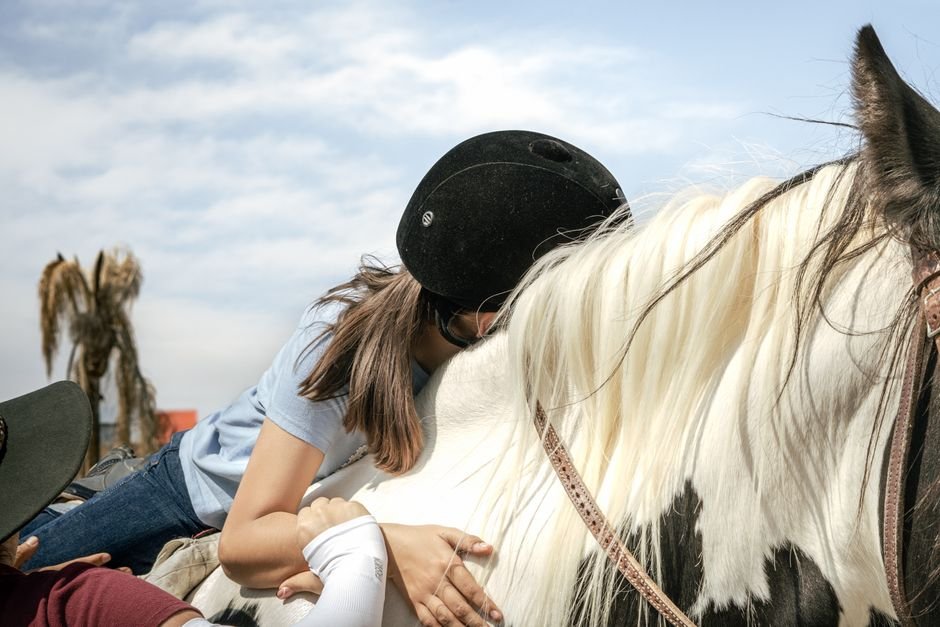 therapy — Miniature Horse Rusty: A New Beacon of Hope in London Therapy (featured)