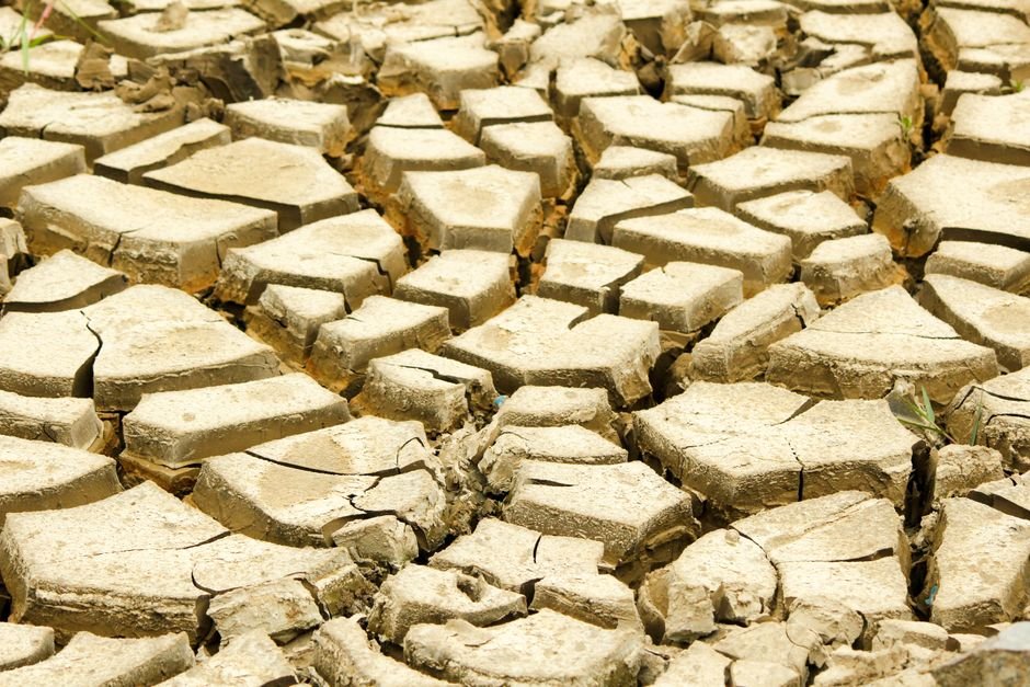El Niño — El Niño: The Canary in the Coal Mine for a Chaotic Climate (featured)