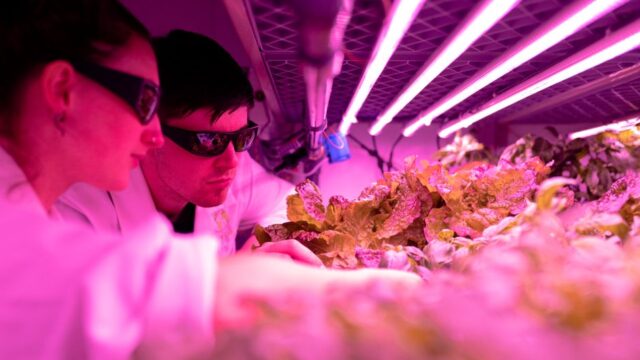 Ajinomoto — Can Ajinomoto Make its Sustainable Vision a Reality? (featured)